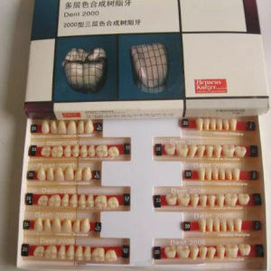 Dental Heraeus 2000 Resin Arylic Teeth OSA-Heraeus 2000