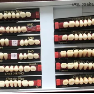 European Quality Dental Resin Teeth Back Teeth OSA-Teeth-EU