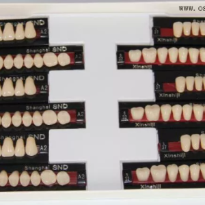 European Quality Dental ResinTeeth Full Set OSA-Teeth-EU