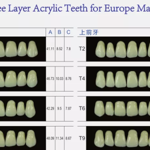 Three Layer Acrylic Dental Artificial Synthetic Resin Teeth